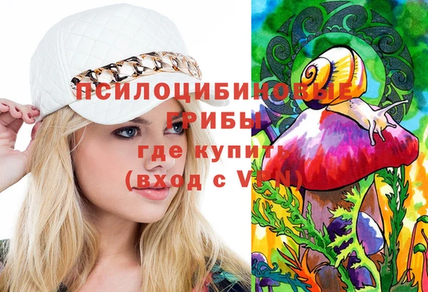 соль курить ск Горняк