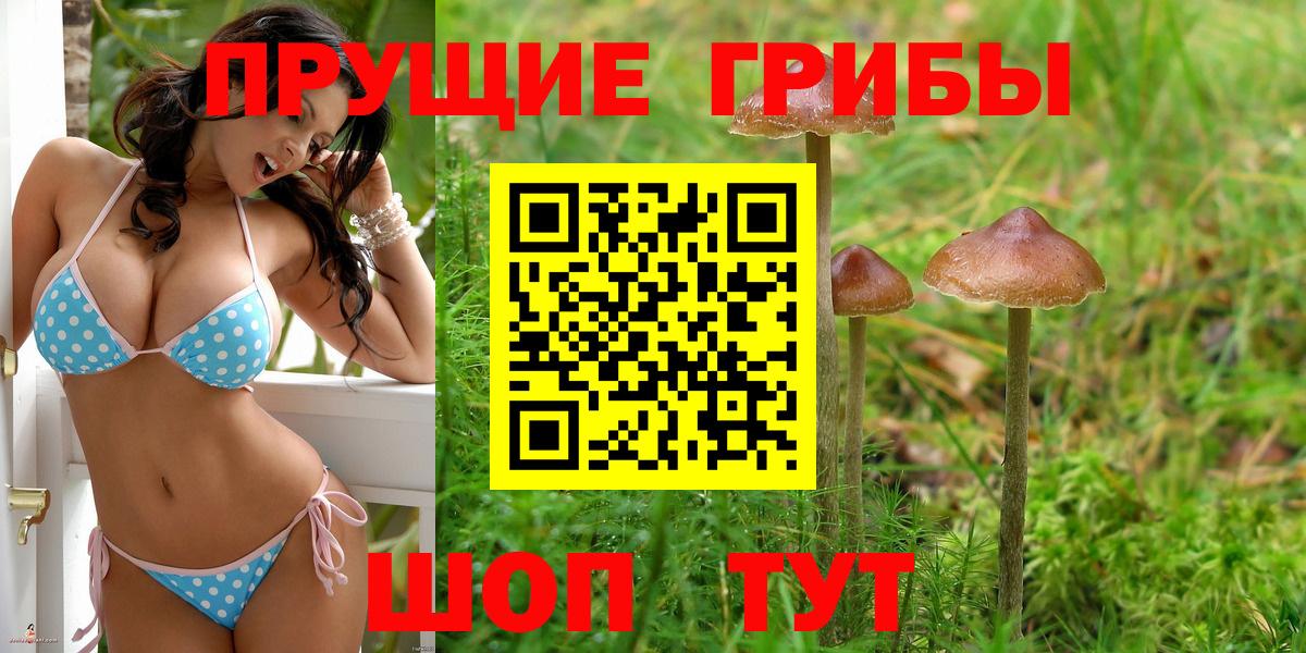 Галлюциногенные грибы мицелий  Вход с VPN  Мценск 