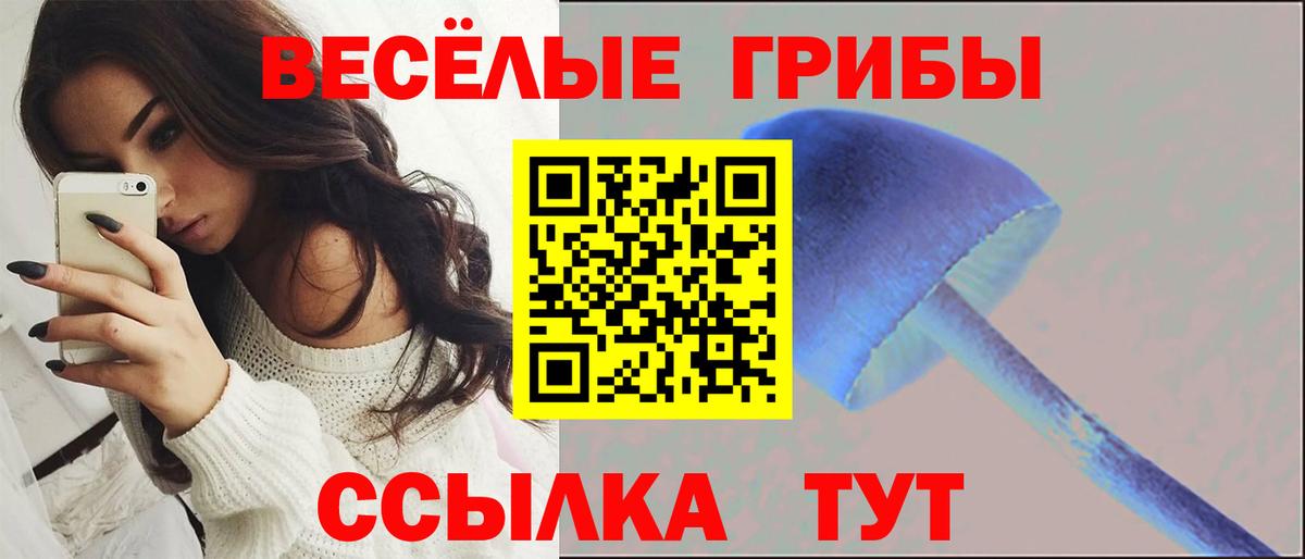 Псилоцибиновые грибы Cubensis Мценск